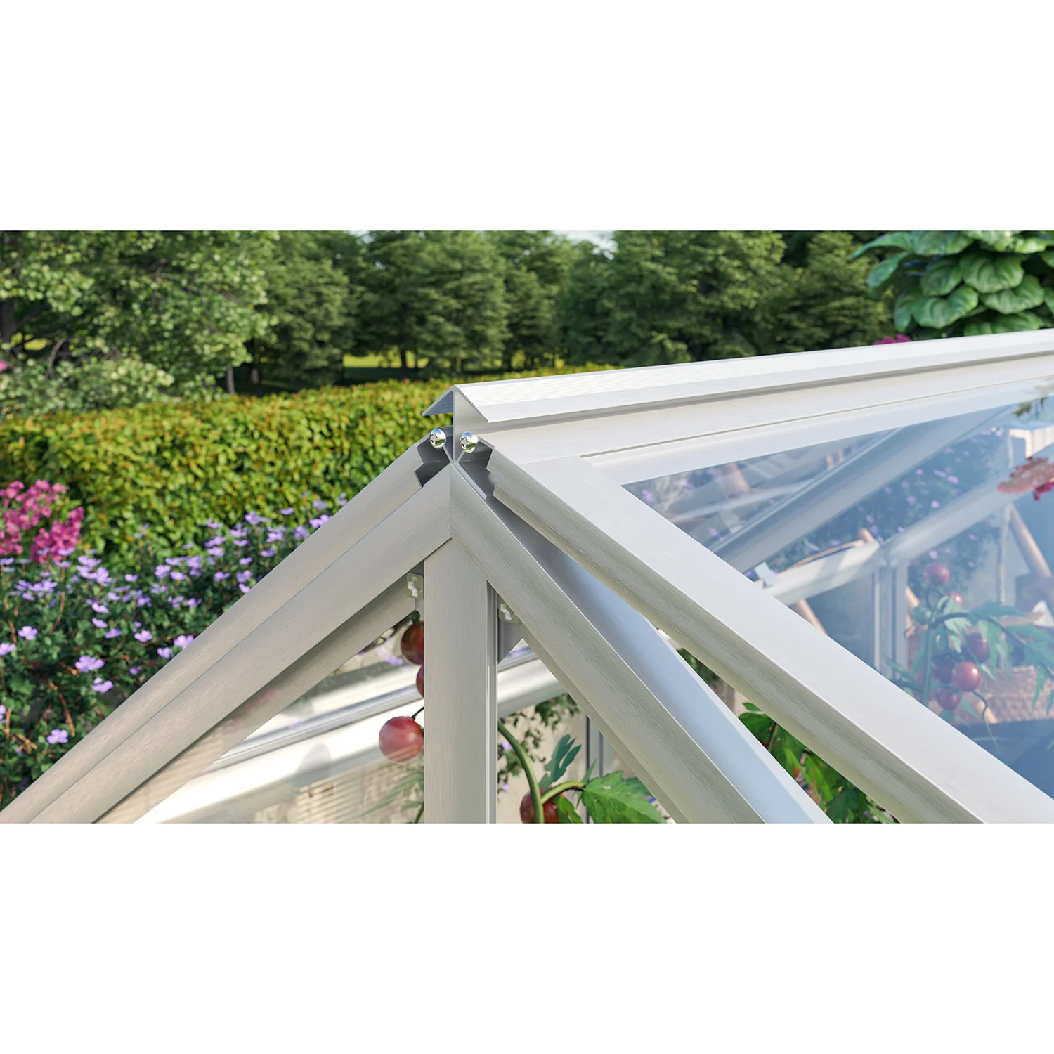 Gamma Kweekbak - Afbeelding 6