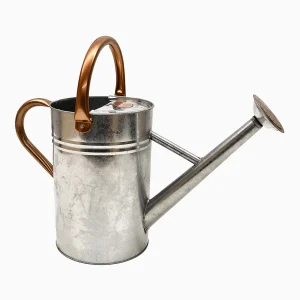 Gieter Metaal 4,5L Zink